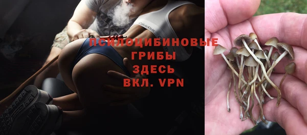 Альфа ПВП Аркадак