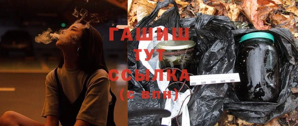 хмурый Арсеньев