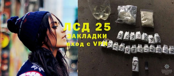 хмурый Арсеньев