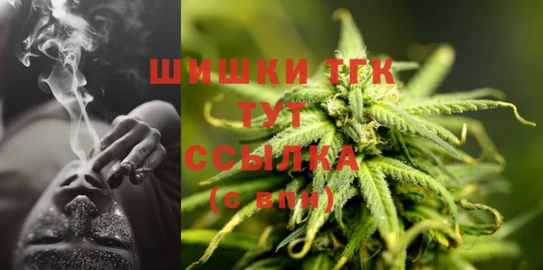 Альфа ПВП Аркадак