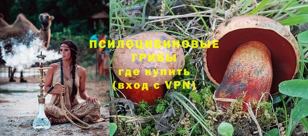 Альфа ПВП Аркадак