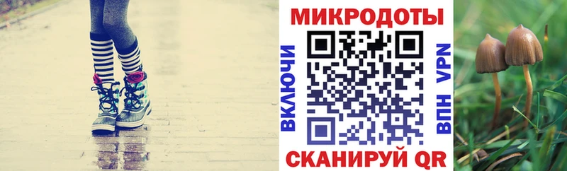 KRAKEN зеркало  Аркадак  дарк нет наркотические препараты  Галлюциногенные грибы GOLDEN TEACHER 